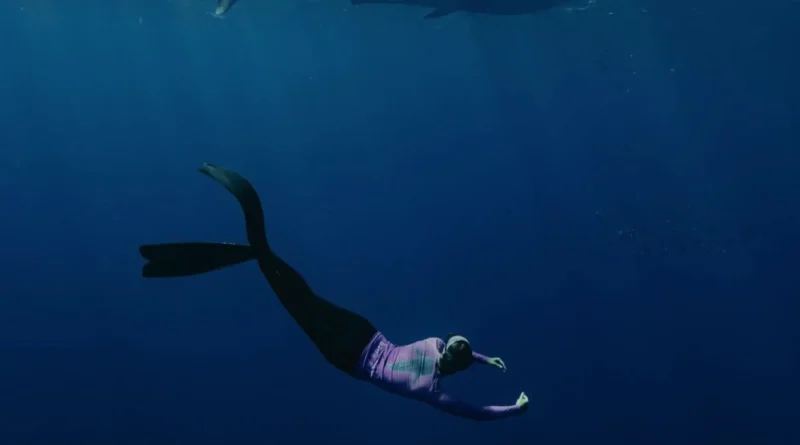 Is it scary to Swim with whale sharks at Ningaloo?